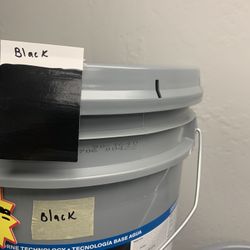 Black  Paints 