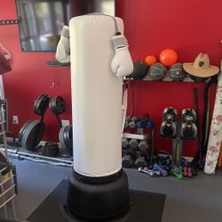 Punching Bag With Fight Camp Modules