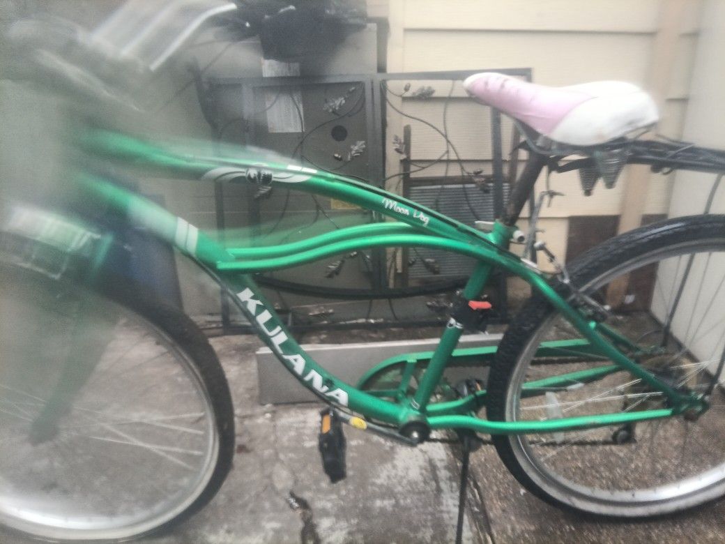 Moon Dog Vintage Bicycle