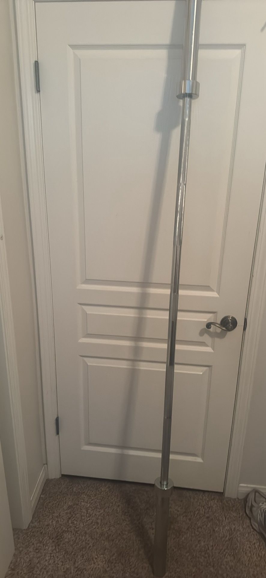 Barbell And 25lbs Plate