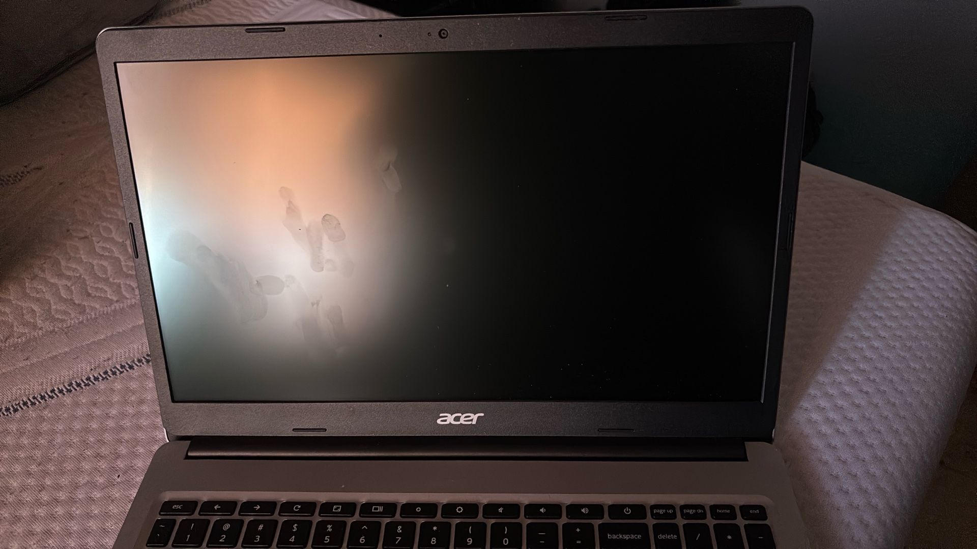 Acer