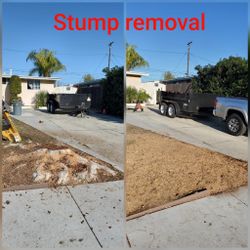 Stump Grinding messge