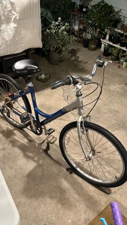 RALEIGH BIKE  (low bar ) $40