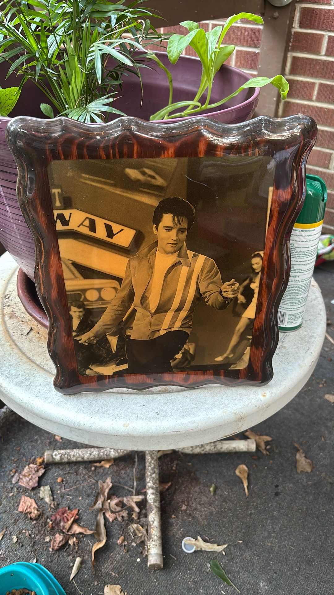 Vintage Elvis Presley Photo