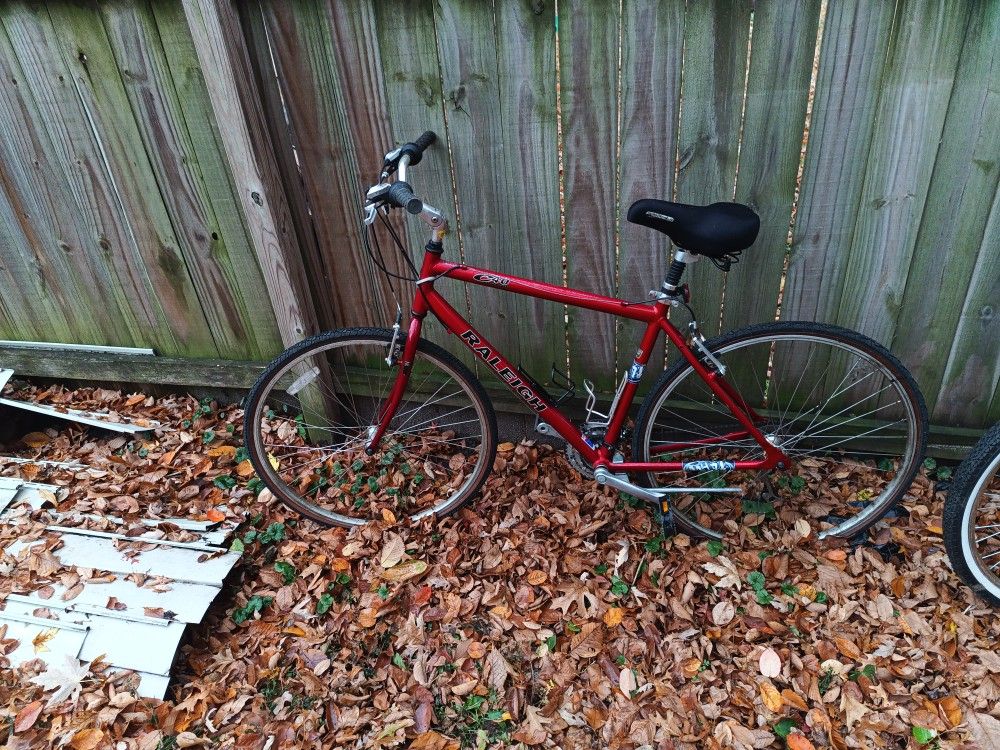 Raleigh C4 10 Speed