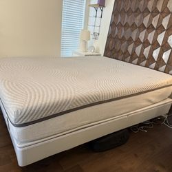 Queen iLE Bed with FlexFit 3 Adjustable Vase