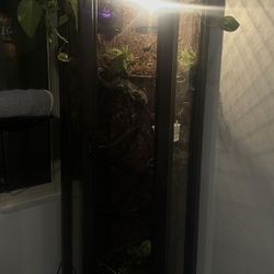 DIY Reptile Enclosure 