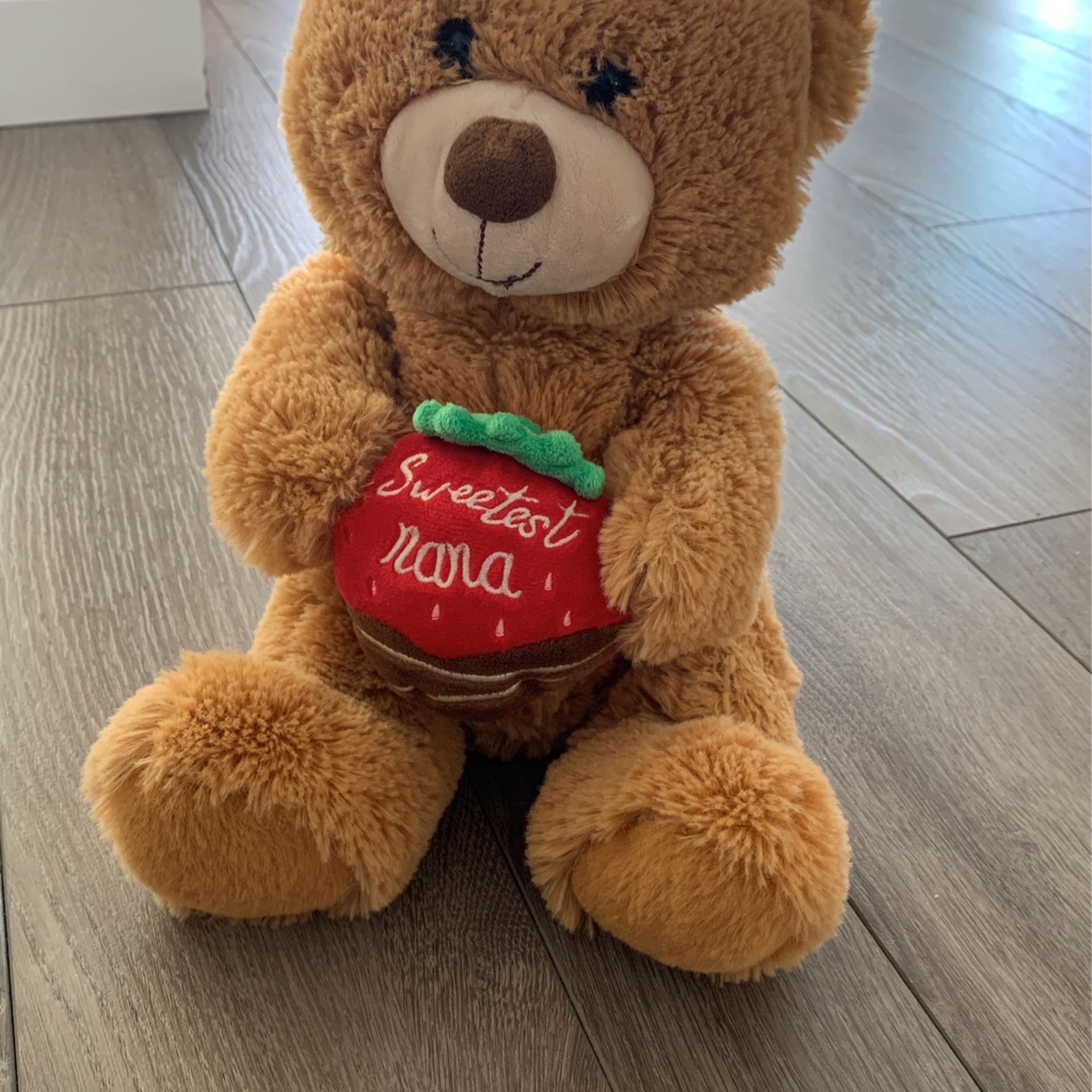 Valentine’s Day Teddy Bear