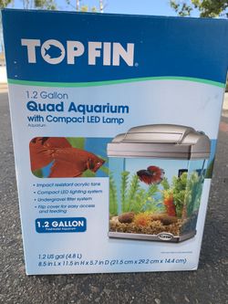 Top Fin Aquarium New