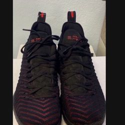 Men’s Nike LeBron Fresh Bred Size 11.5