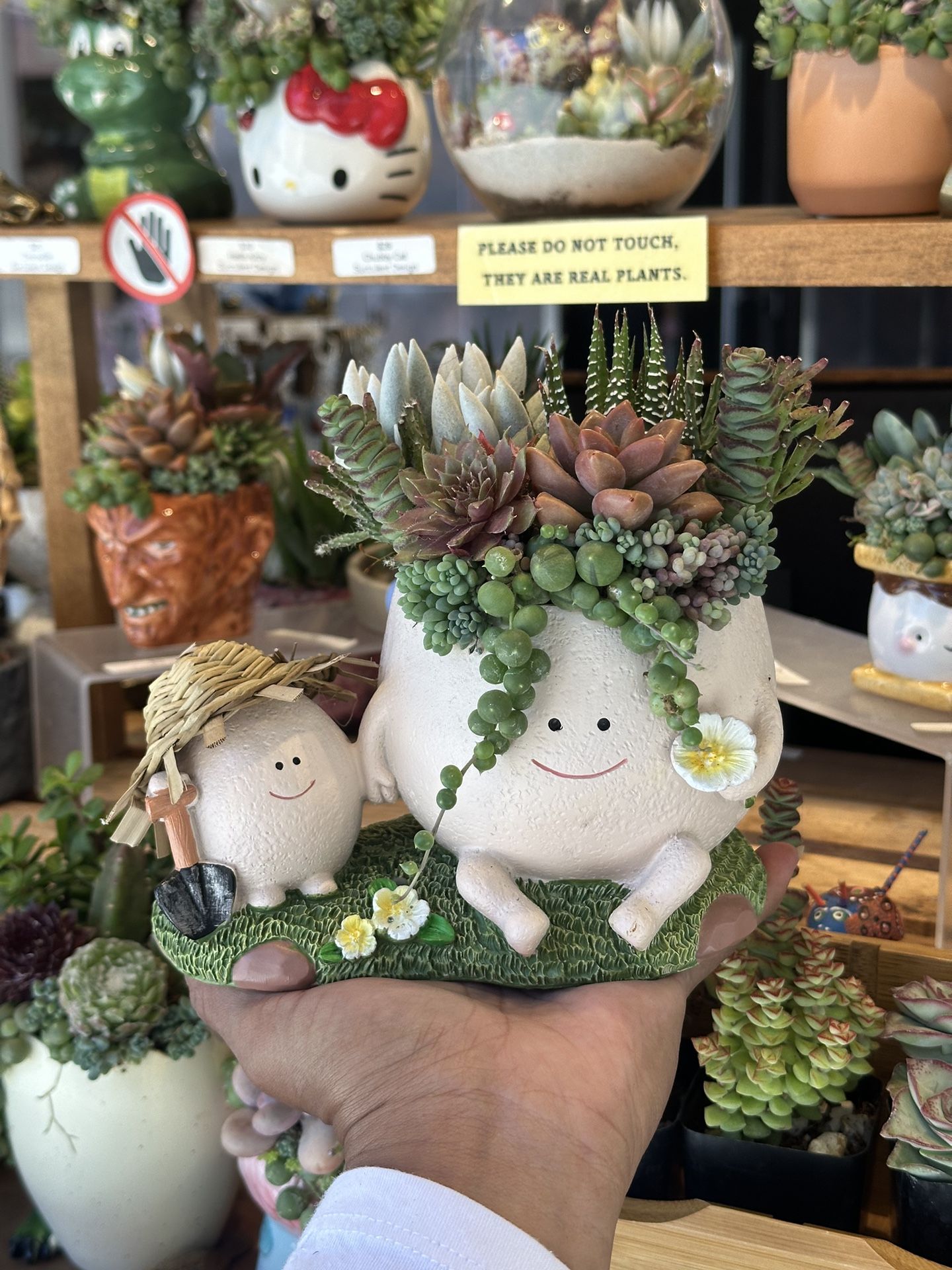 Love To Garden Succulent Arrangement