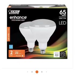 14 Feit Led Bulbs 65 watts No boxes