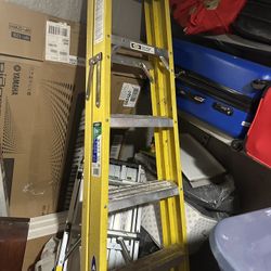 Werner 6’ Ladder 