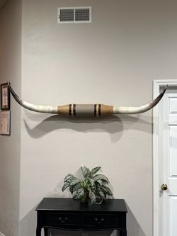 Authentic 64” Mounted Longhorn Steer Horns – Western Wall Decor