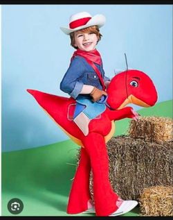 Dino Ranch Costume