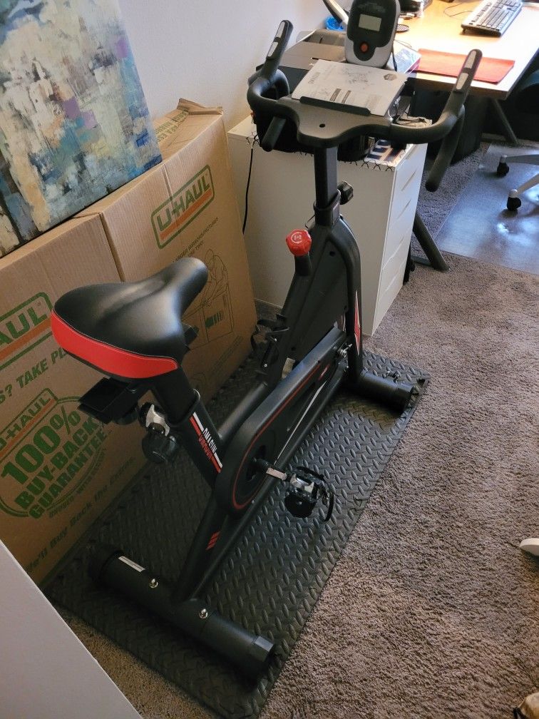 Dmasun Spin Bike