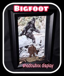 Bigfoot shadowbox display...wall ready or on the shelf..Brand New!!!
