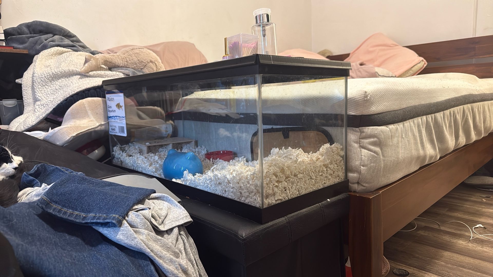 Glass Aquarium / Hamster Tank