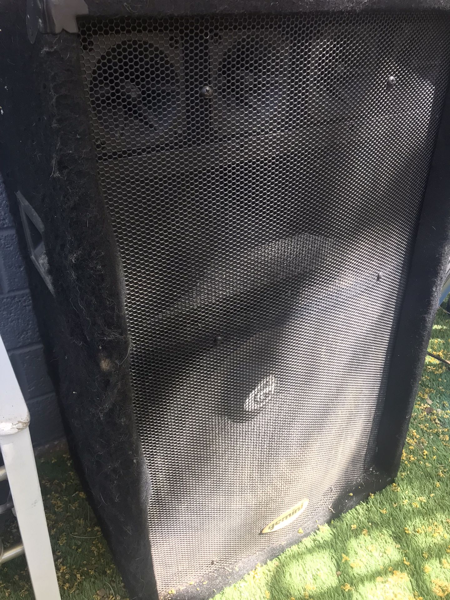 Gemini Speaker
