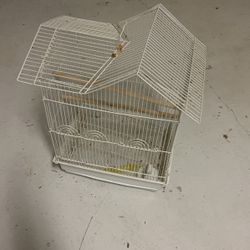 Bird cage 