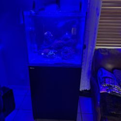 Red Sea Max E170 Aquarium 