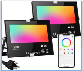 30W RGB LED Flood Lights 2-Pack IP66