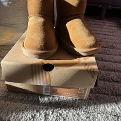Ugg Koala