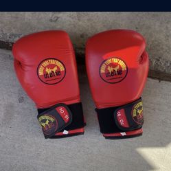 Muay Thai Thai Boxing 16 Oz Boxing Gloves Not Free Make Offer 
