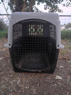 LARGE Pet CARRIER
