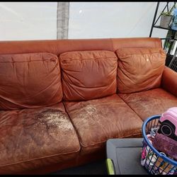 FREE COUCH