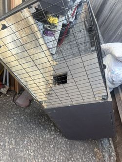 Guinea pig / Rabbit cage