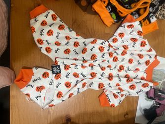 New dog outfit