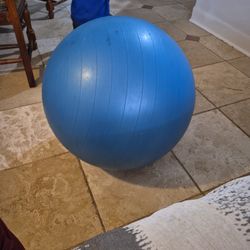 Weighted Exercise/Therapy Ball