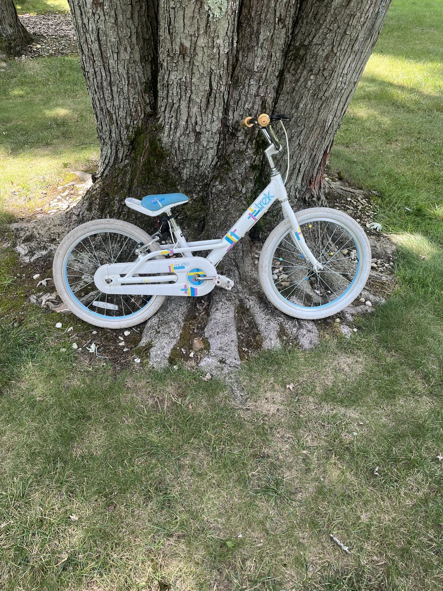 20” Kids Trek Bike 