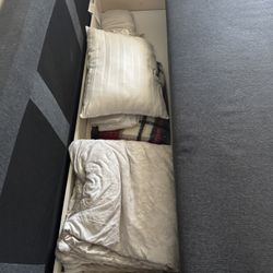 Sofa Bed 