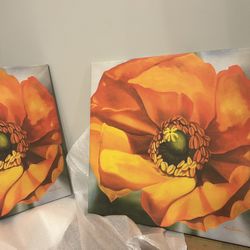 Large Orange Flower Canvas