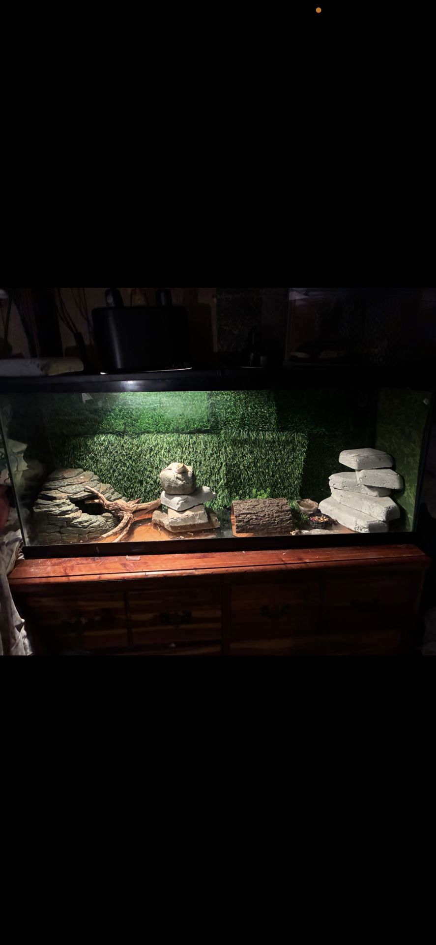 Bearded Dragon Tank Lights, Accessories For Sale Everything You See In The Picture Is For Sale