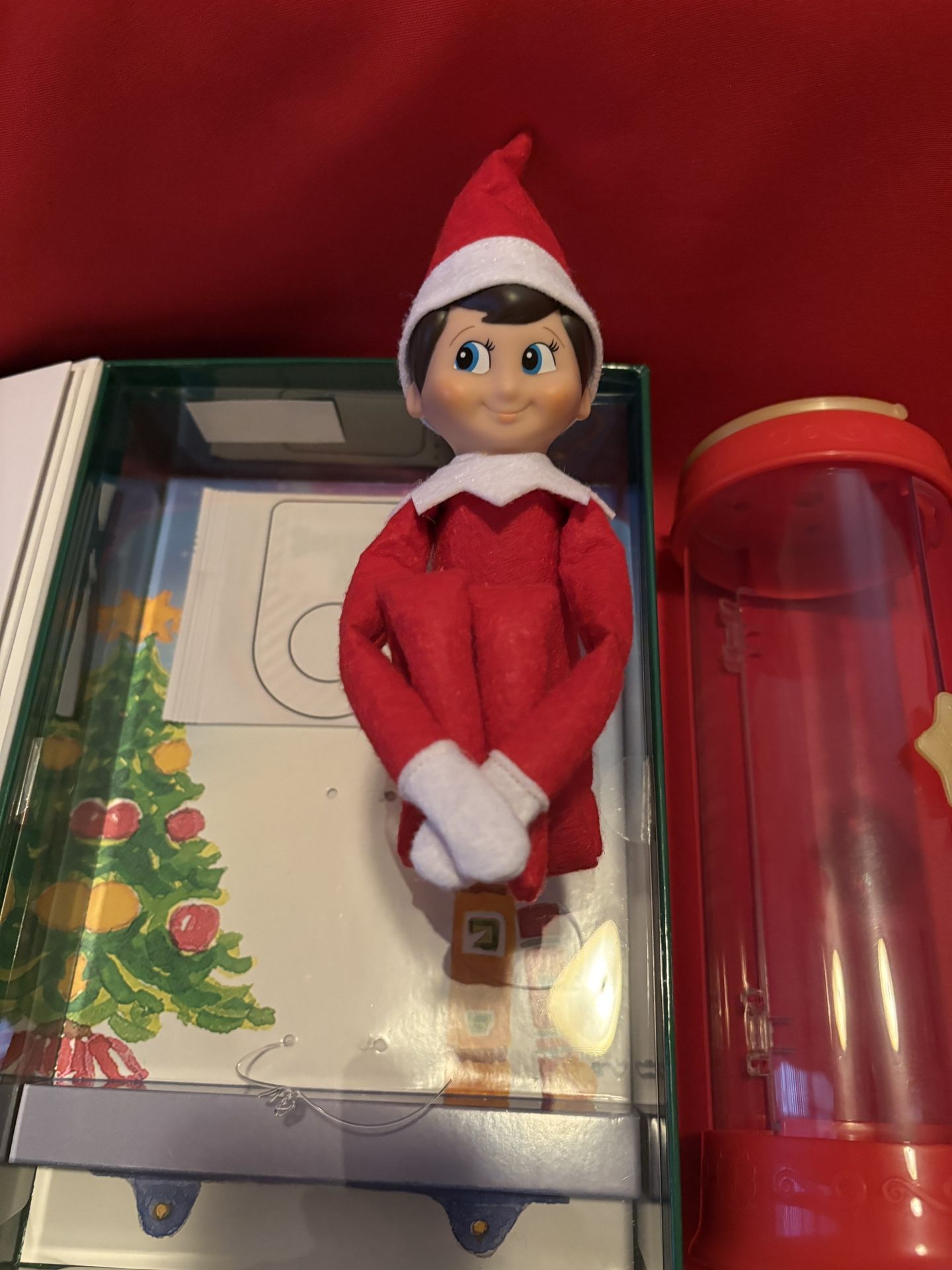 The Elf On The Shelf (Boy) With Carrier