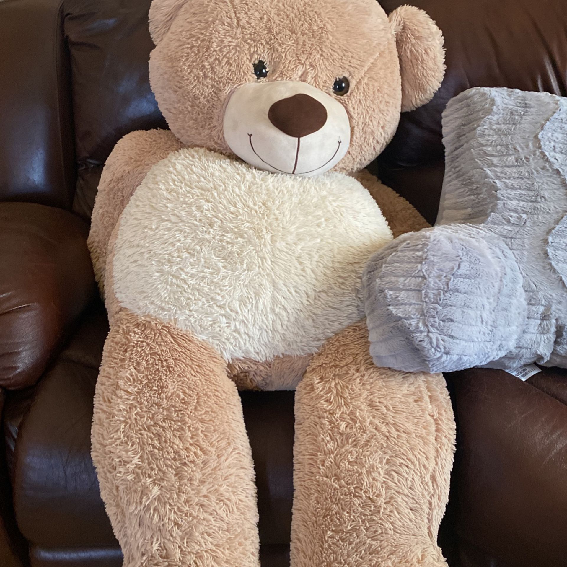 Big Teddy Bear Toy 