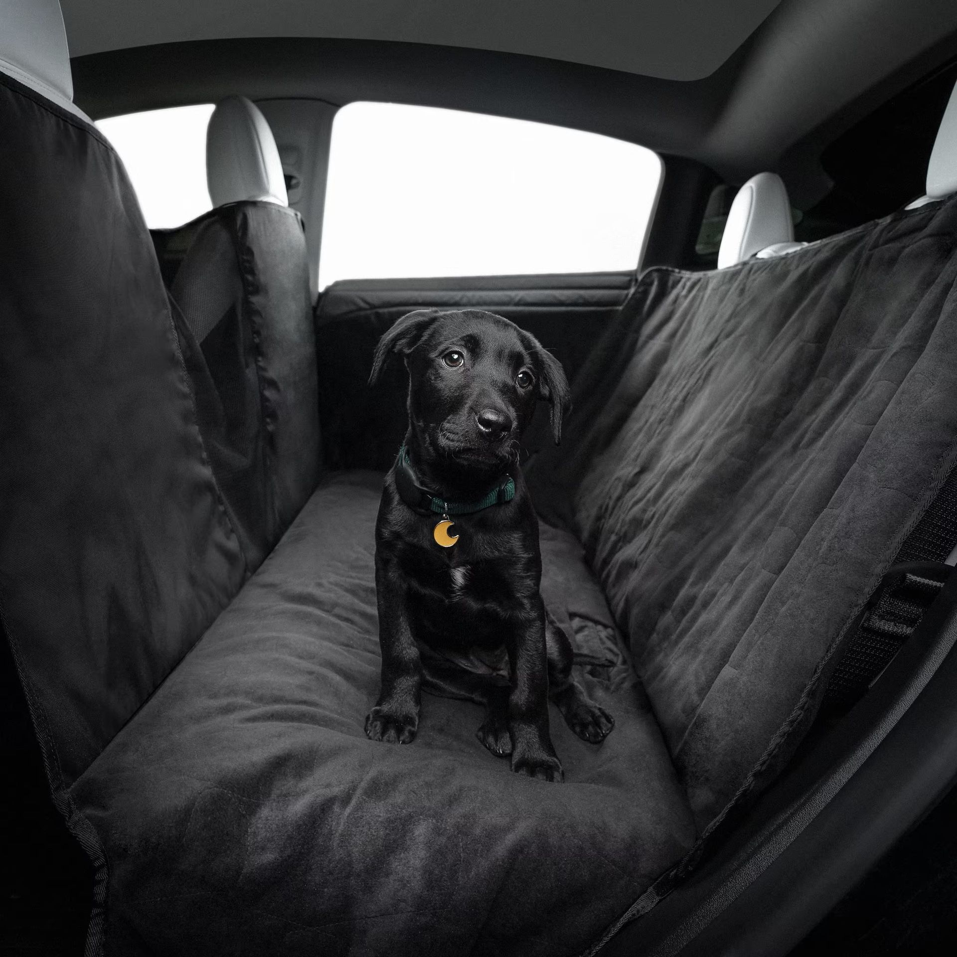 Model S/3/Y Pet Liner