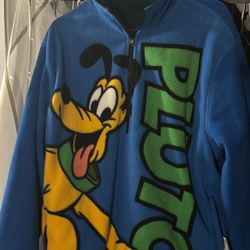 Disneyland Windbreaker 