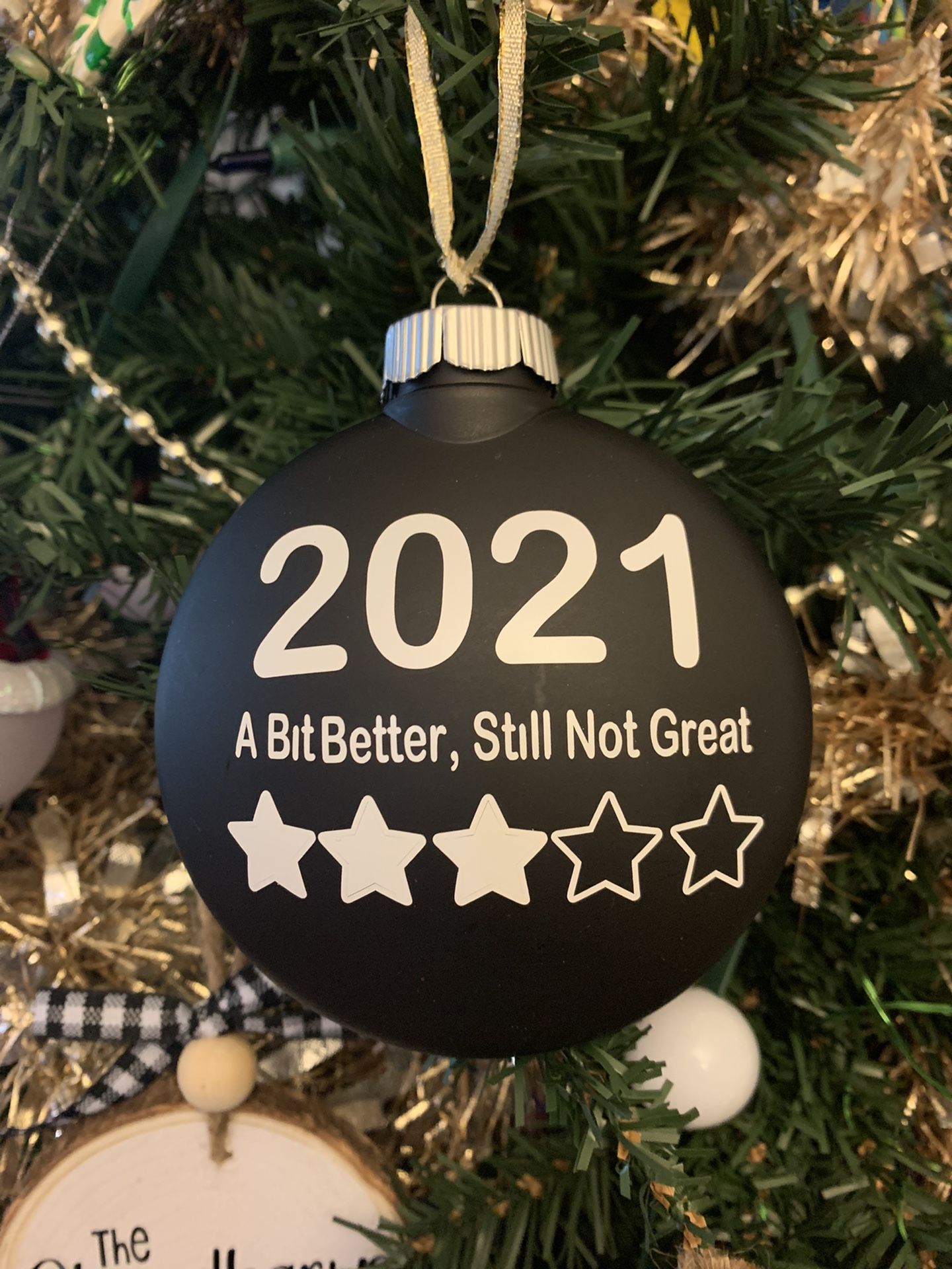 2021 Covid Ornaments And More