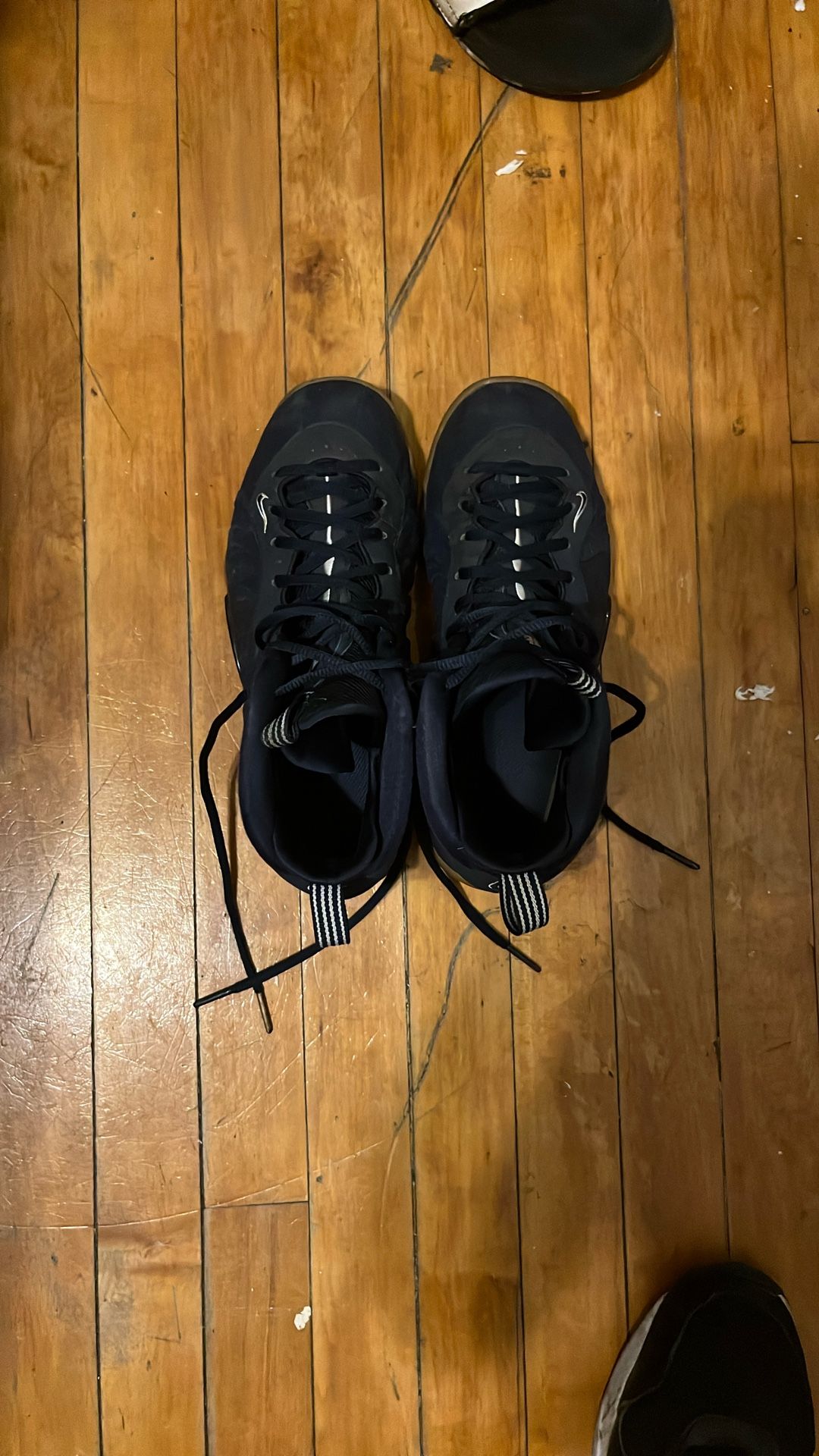Nike Air Foamposite Ones