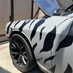 Dodge Challenger driver side Fender