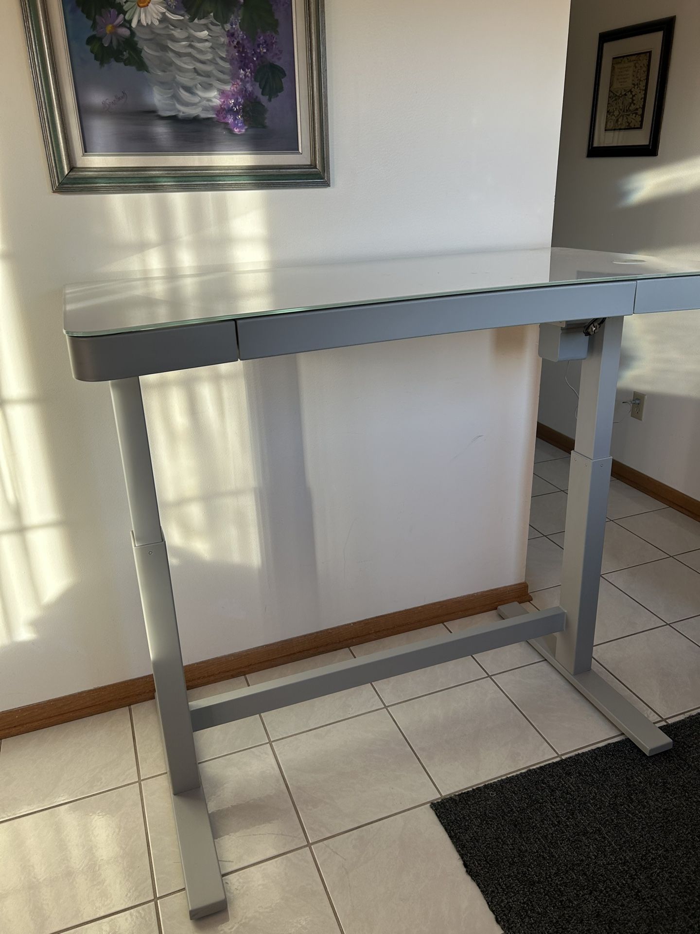 Twin Star Home 47" Ashford™ Adjustable Height Desk, Light Silver