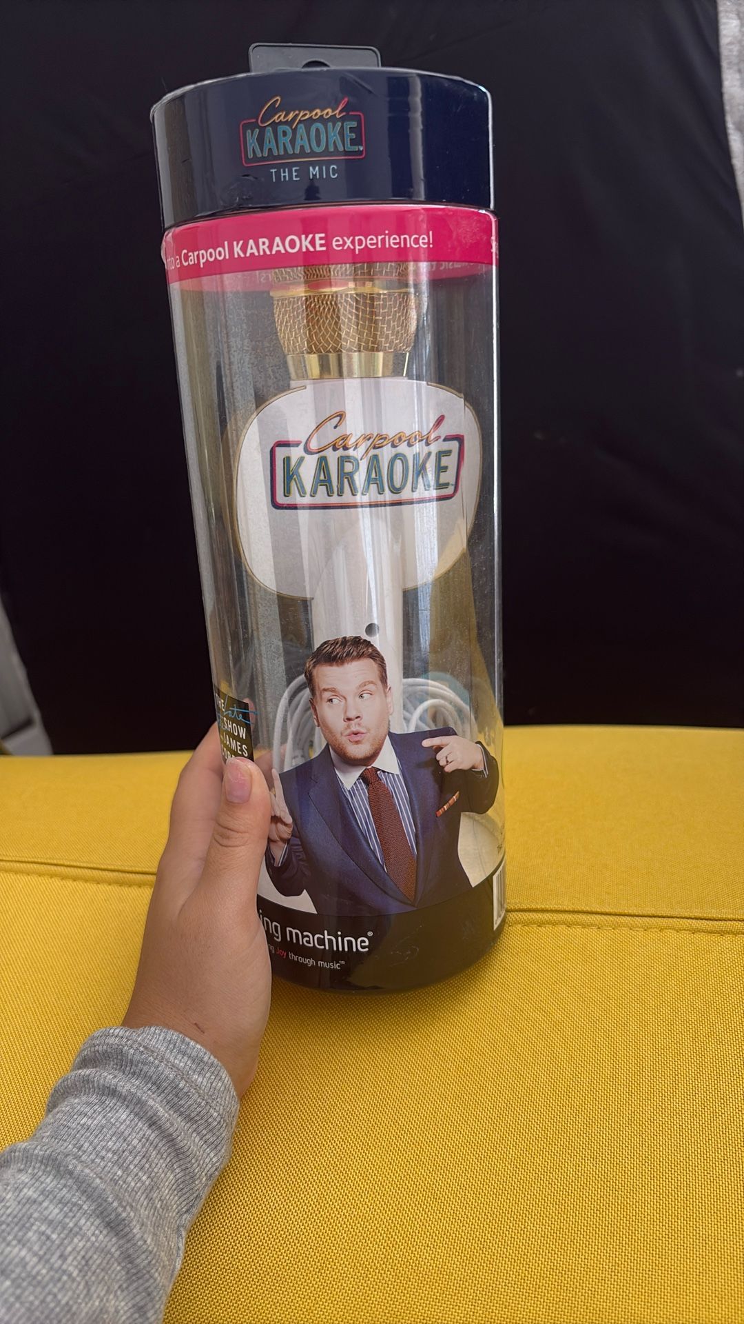 Car Karaoke Mic