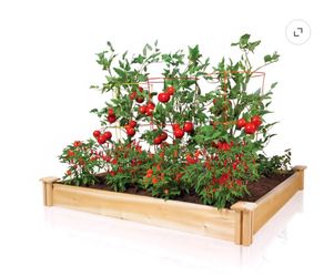 Greenes 5.5 in. H X 48 in. W Cedar Raised Bed Planter Brown