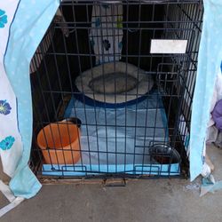 Pom Cage