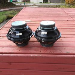 10" Bass Speakers 