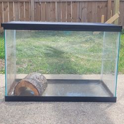 20 Gallon Reptile Tank With Screen Cover And Log